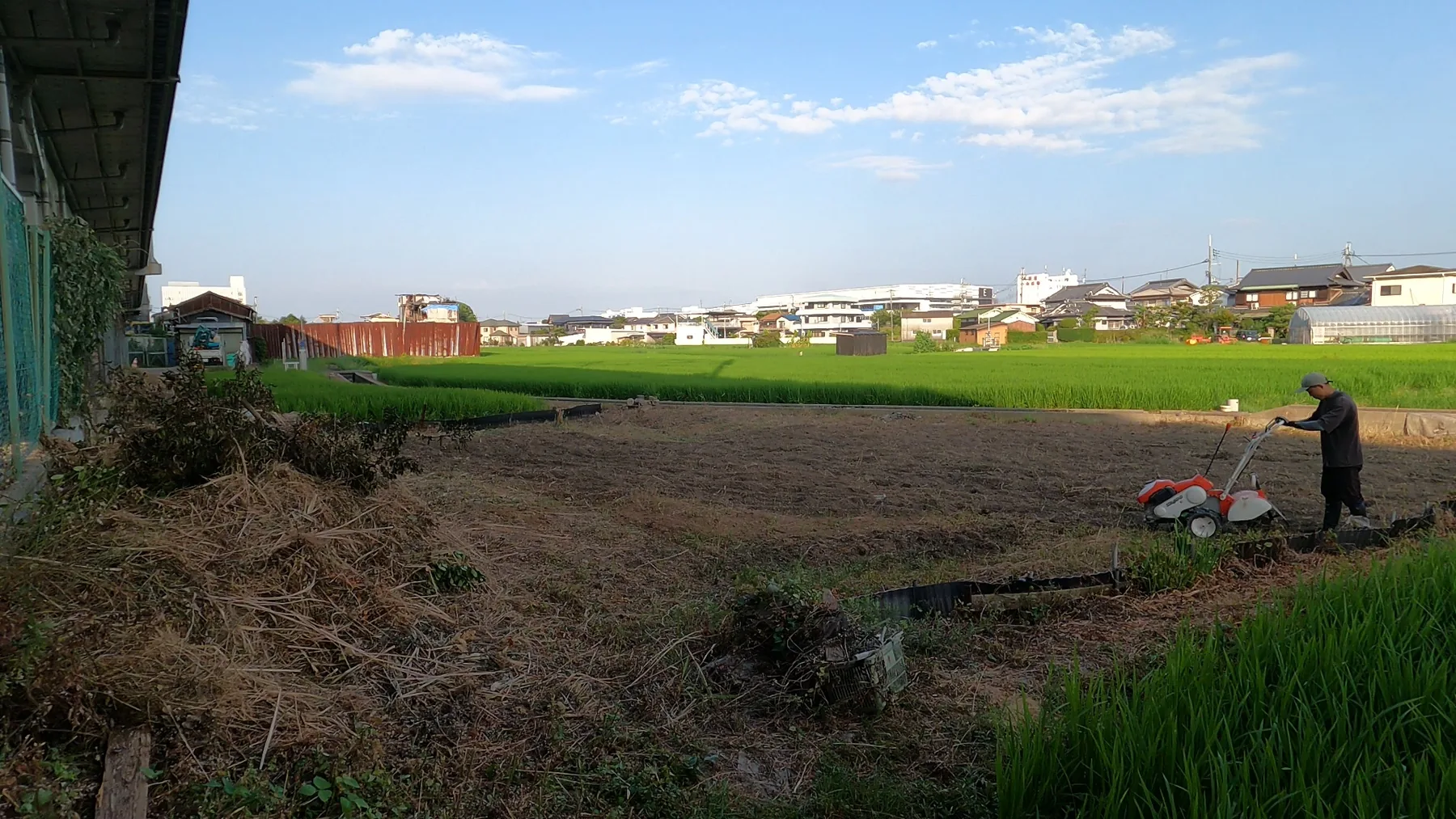 鳥飼八町の田園。